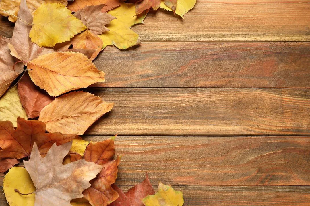 Cómo preparar tu suelo de madera ante la llegada del otoño